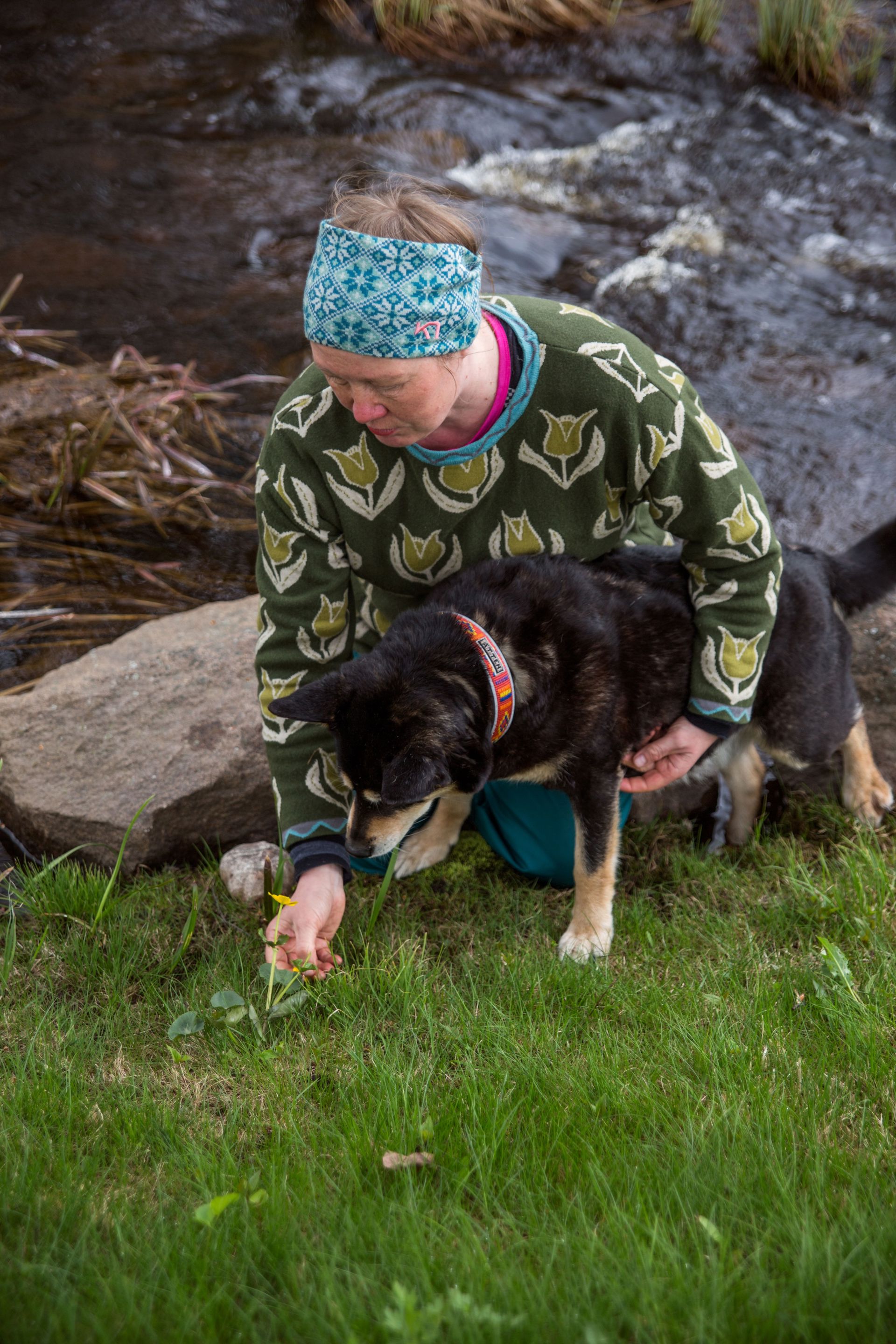 En person och en hund tittar på en blomma.