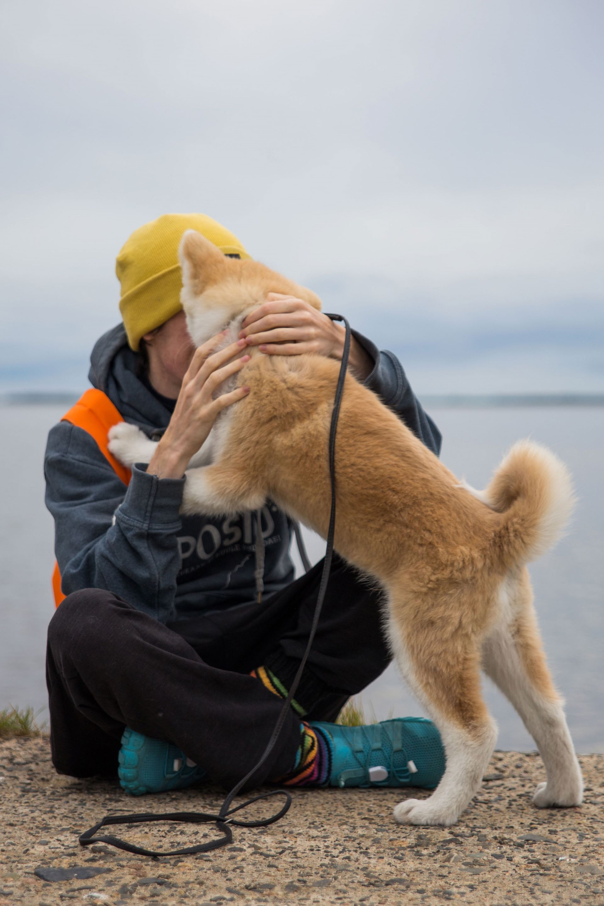 En person leker med en hund.