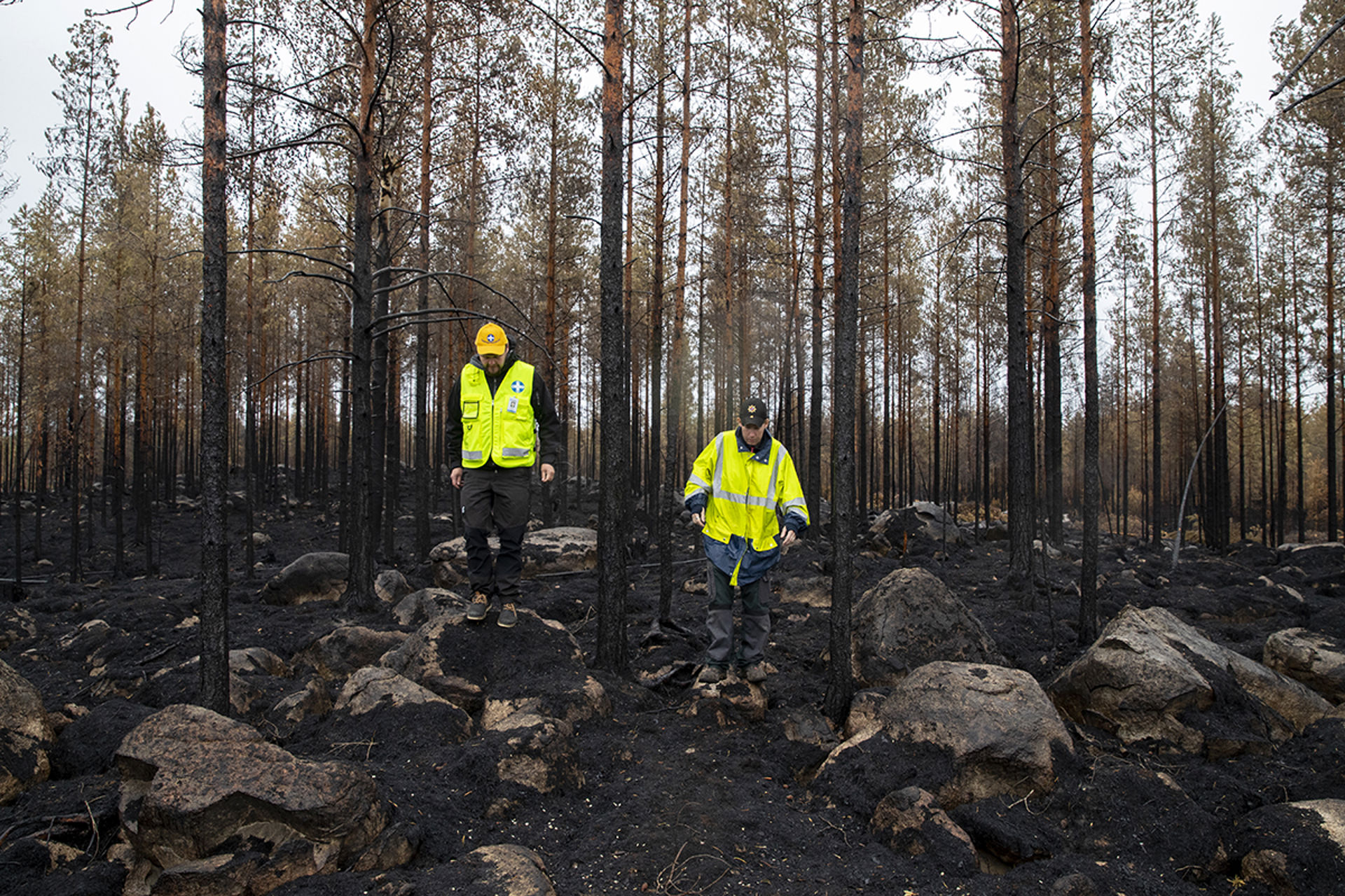 Två av Frivilliga räddningstjänstens frivilliga i gul väst går i den eldhärjade skogen.