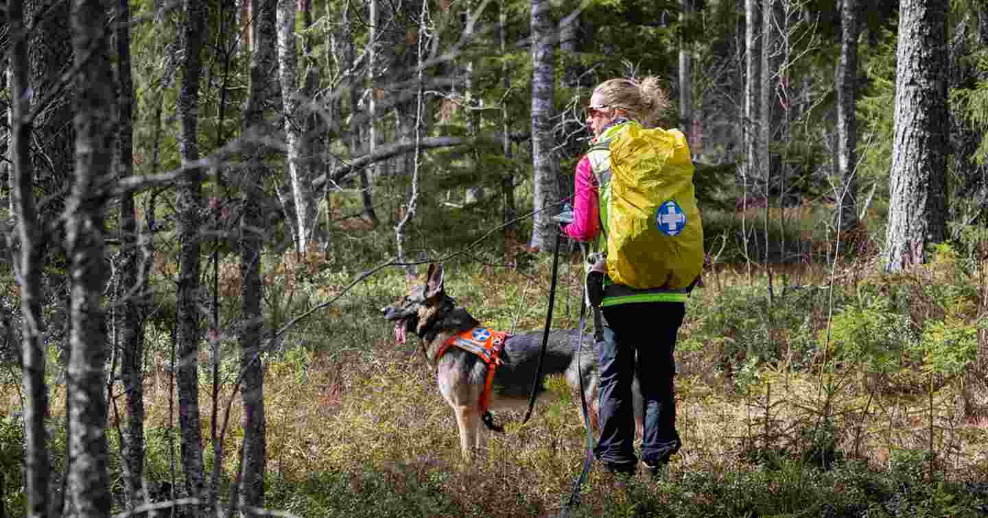 En frivillig och en räddningshund i skogen.