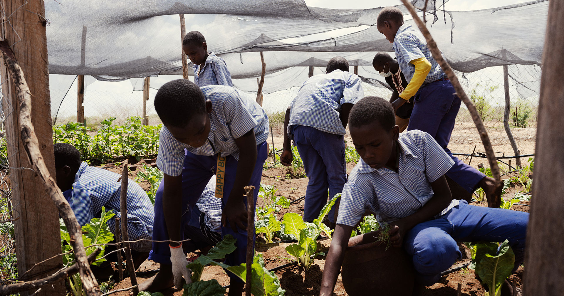 Ungdomar i skoluniformer odlar växter i Kenya.